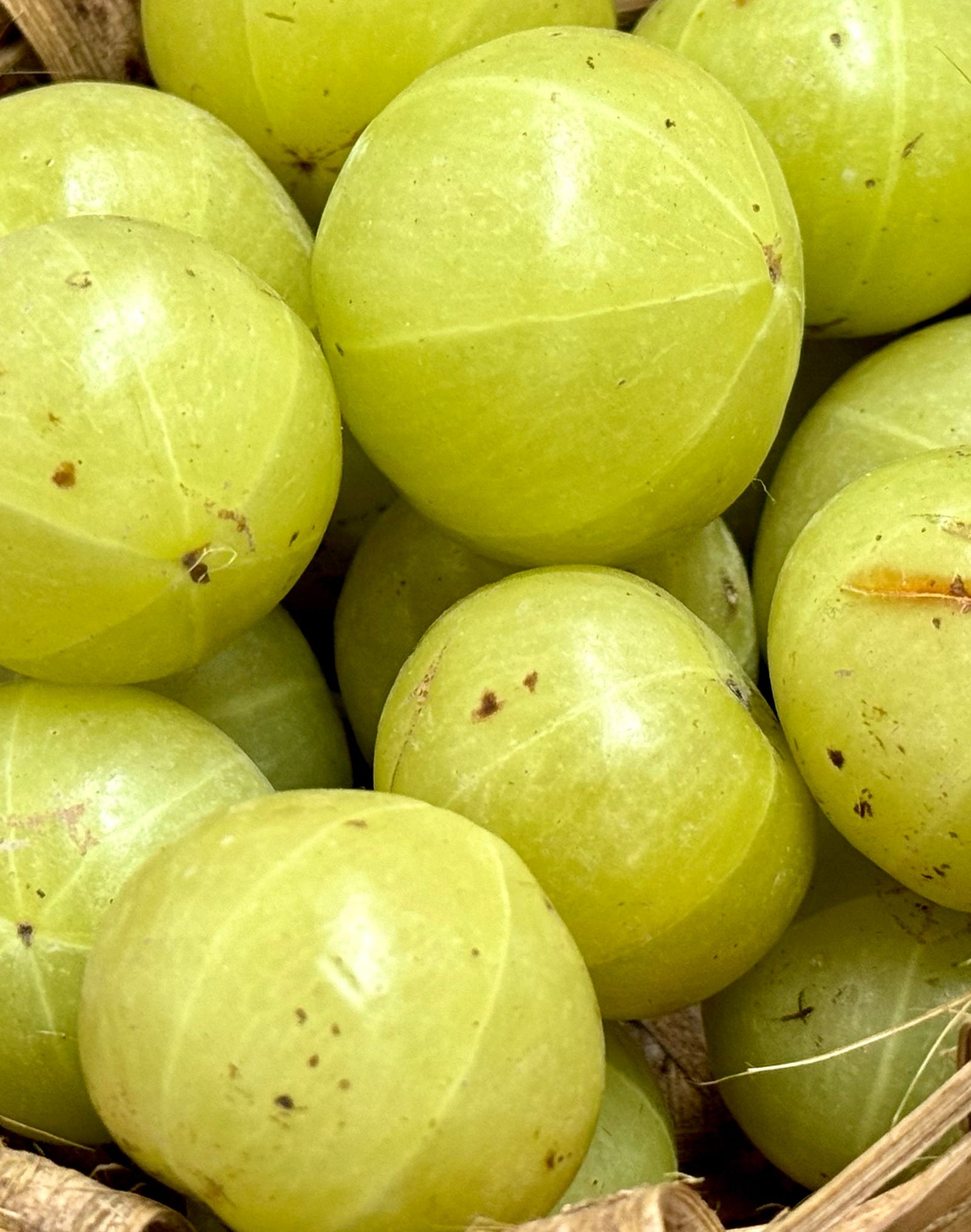 Amla – superowoc ajurwedy