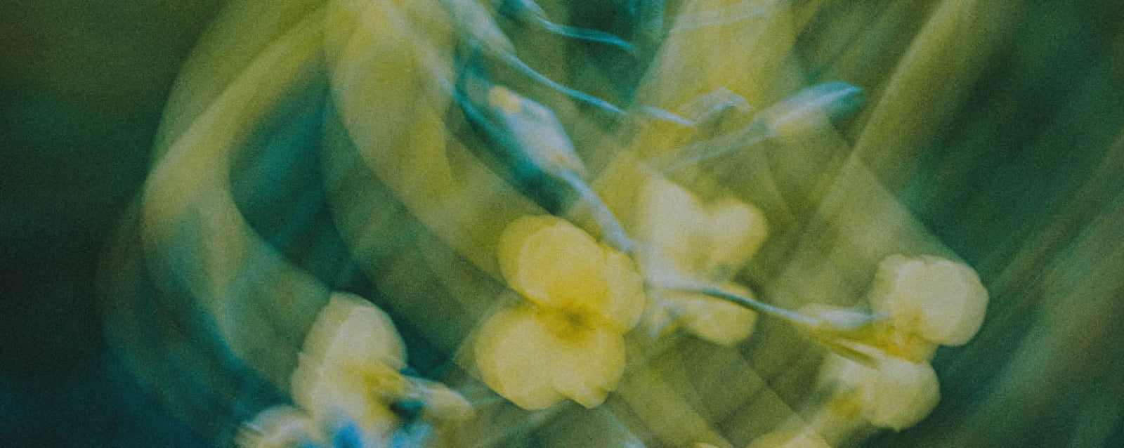 Image 32072992817252