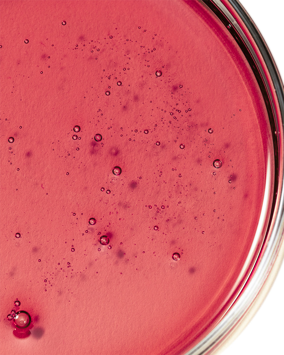 Image 30442803953764