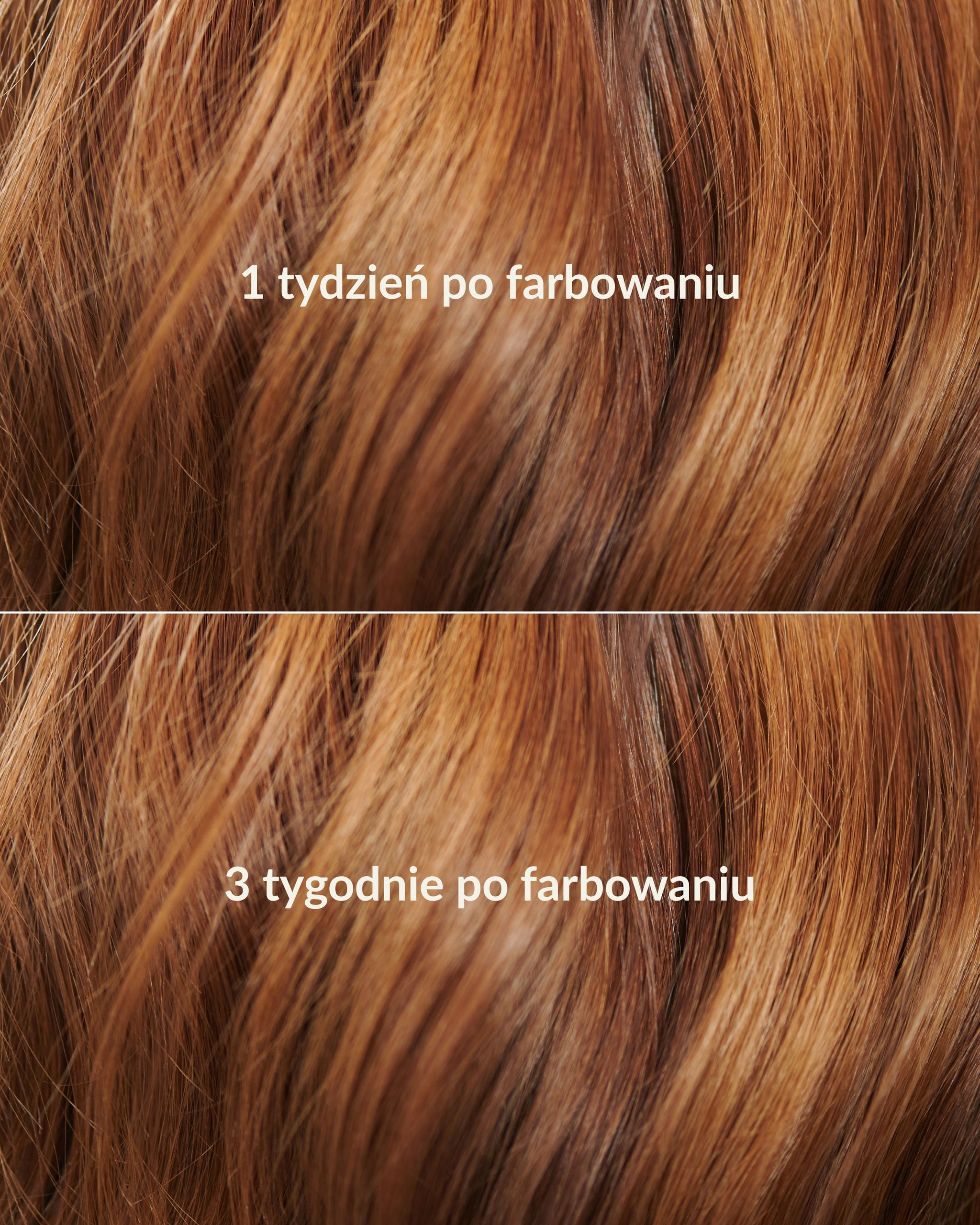 Image 33079969677412