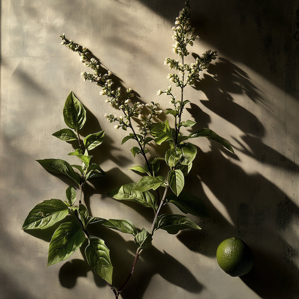 Image 28876625543268