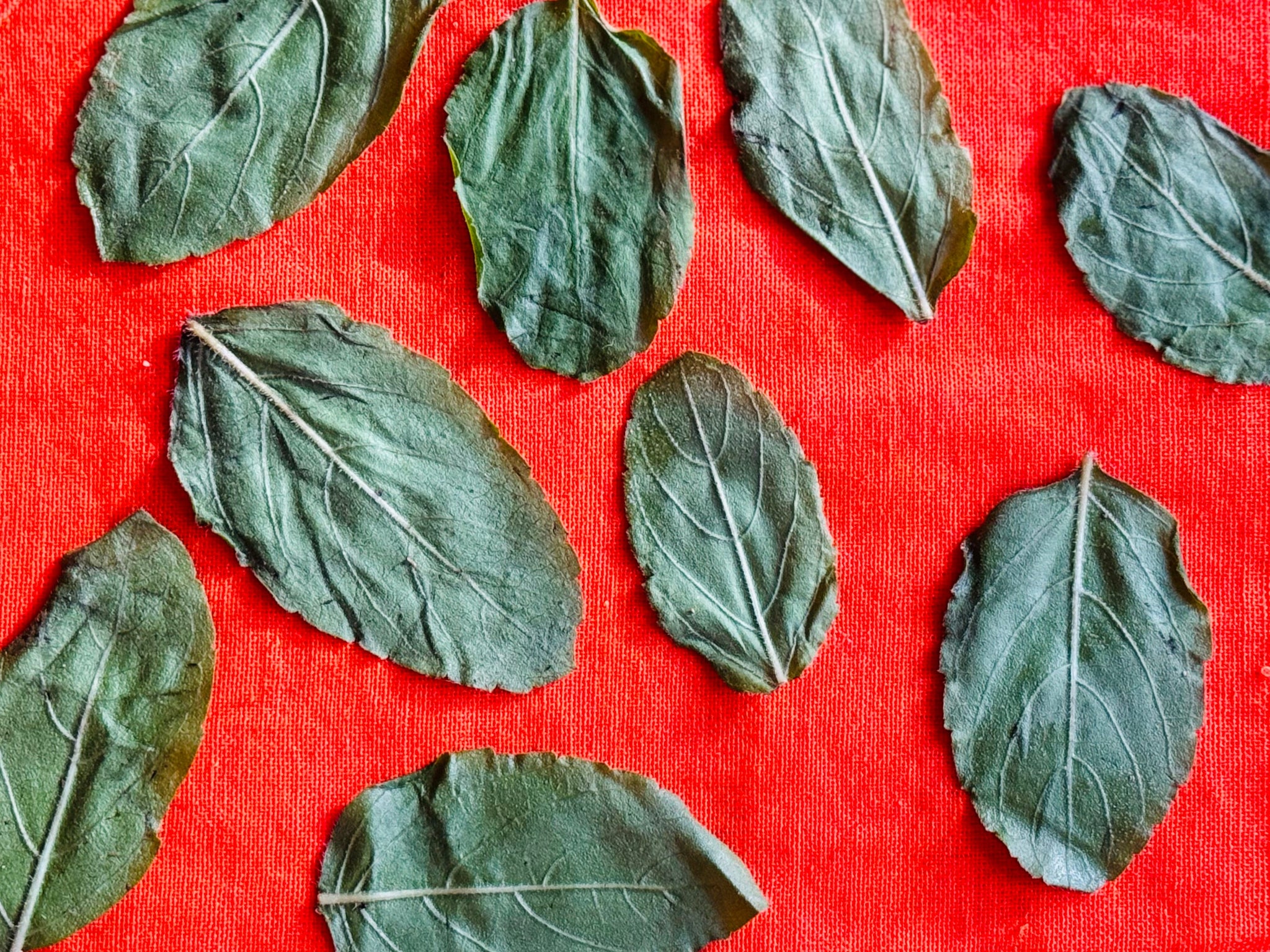 Bild von Khadi Ayurveda Produkten und Philosophie