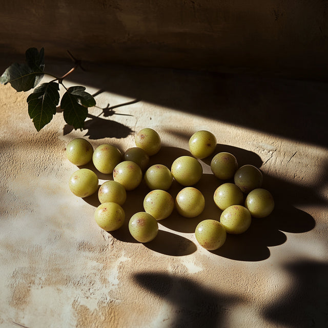 Balsam do ciała Indian Amla Travel Size