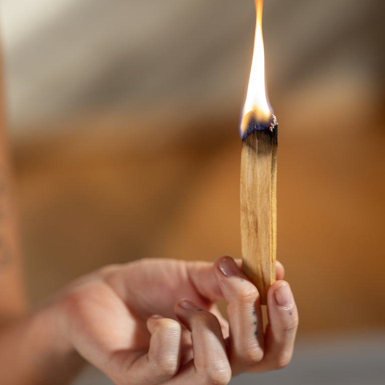 Image 30475922538596