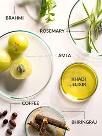 Rosemary Grow Full Routine Bundle