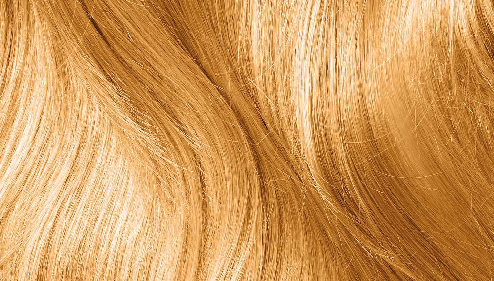 Bild von Sonnenblond quer, Model mit Pflanzenhaarfarbe