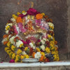 Bild von einem indischen ayurvedischen Elefanten, Symbol für spirituelle Weisheit