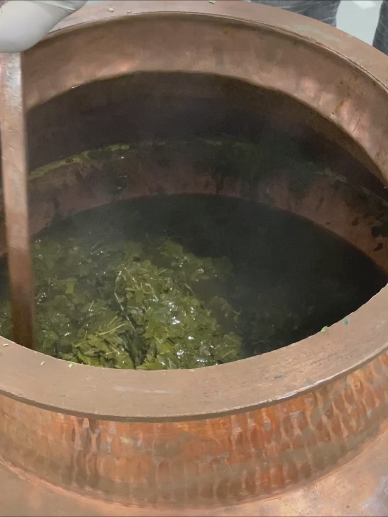Video von Khadi Neem Shampoo (zweites Video)