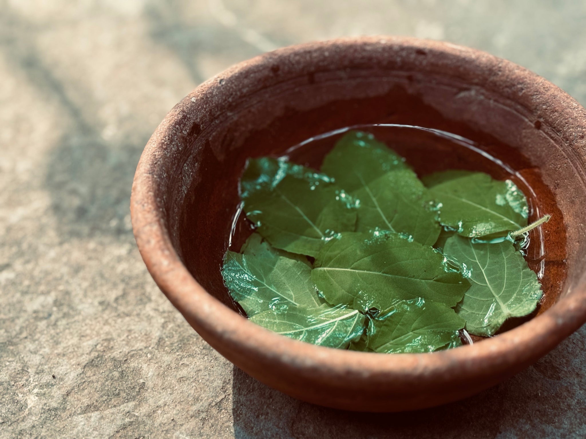 Video von Schale mit Kräuterblättern als Inhaltsstoffe in Khadi Produkten
